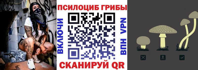 дарк нет наркотические препараты  купить закладку  Глазов  Галлюциногенные грибы мицелий 