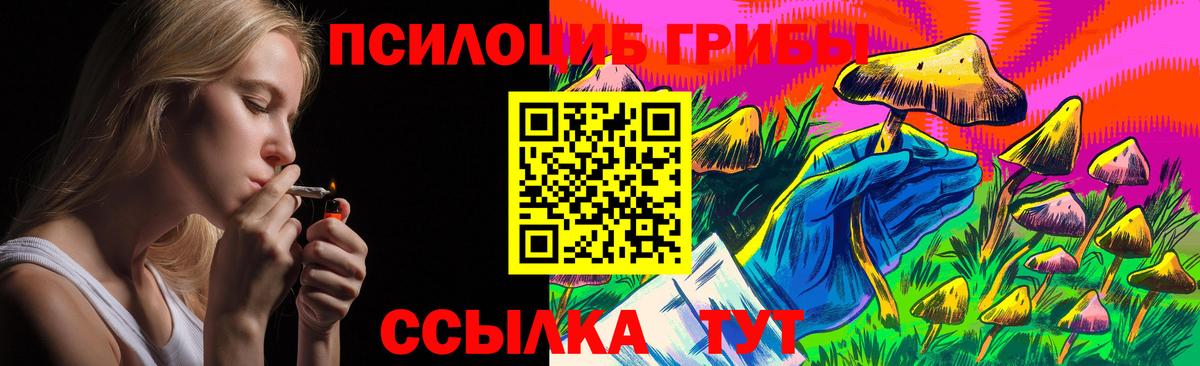 Галлюциногенные грибы Psilocybe Глазов