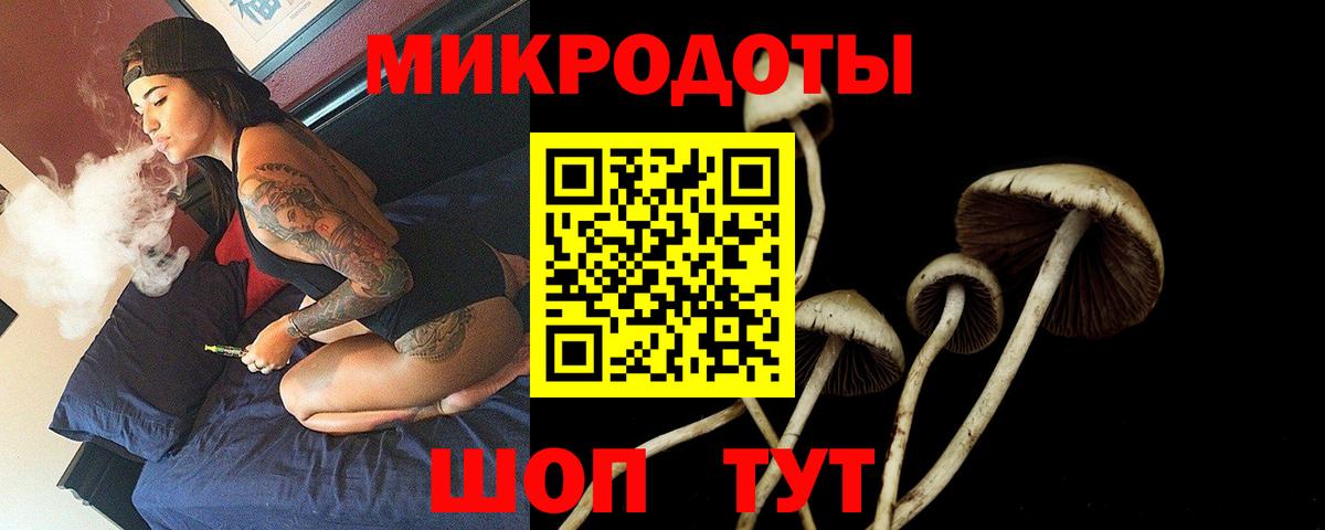 Галлюциногенные грибы Cubensis  Псилоцибиновые грибы MAGIC MUSHROOMS  Вход с VPN  Глазов 